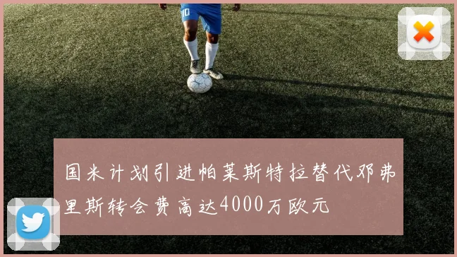 国米计划引进帕莱斯特拉替代邓弗里斯转会费高达4000万欧元